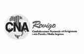 SOLUZIONI 73 cnarovigo logo