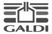 SOLUZIONI 49 Galdi logo