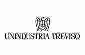 SOLUZIONI 80 unindustria treviso logo
