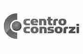 SOLUZIONI 87 centro consorzi logo