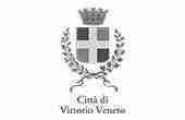 SOLUZIONI 63 vittorio veneto logo