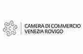 SOLUZIONI 72 Camera di commercio Venezia Rovigo logo