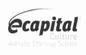 SOLUZIONI 85 ecapital logo