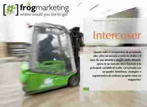 Intercoser Storytelling froggers Playground