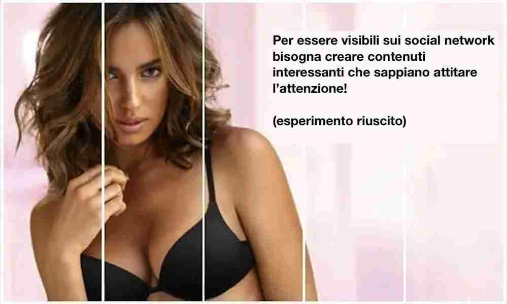 social network Intimissimi Push Up 51