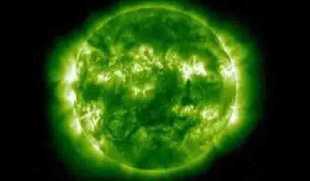 ecologia del valore