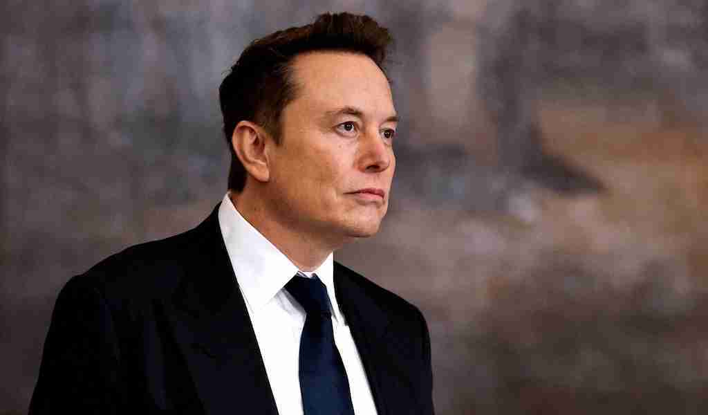 reputazione elon musk